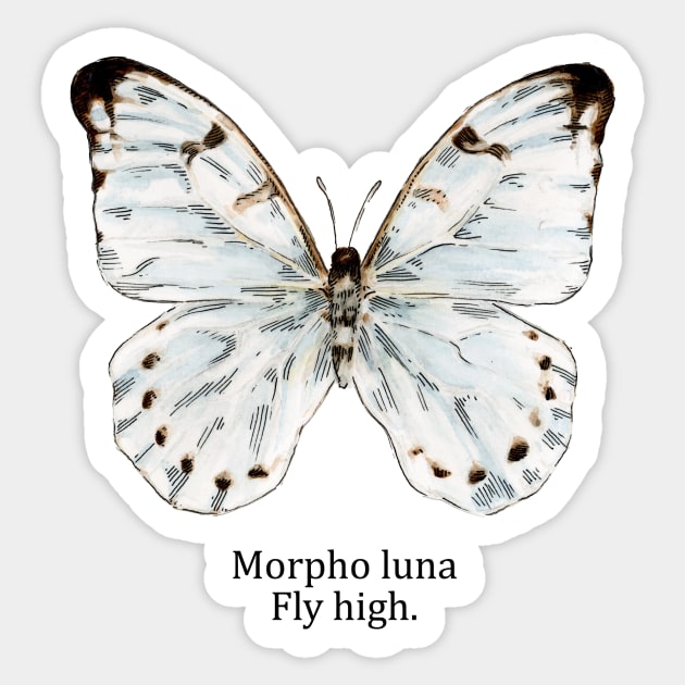 morpho luna Sticker by blueicedjack